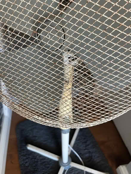Photo of free Old electric fan (Cuxton ME2) #4