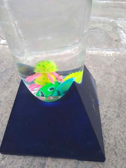 Photo of free Sensory fish bubble light (Moor Allerton LS17) #1