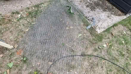 Photo of free Chicken / rabbit hutch wire (~4 sheets) (Caversham Heights RG4) #1