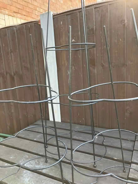 Photo of free Garden Plant Supports x 3 (Basildon SS14) #2