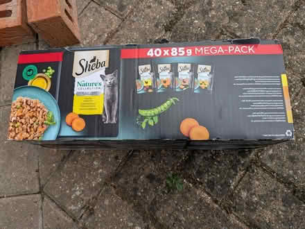 Photo of free Kitten Food (KT11 3DE) #3