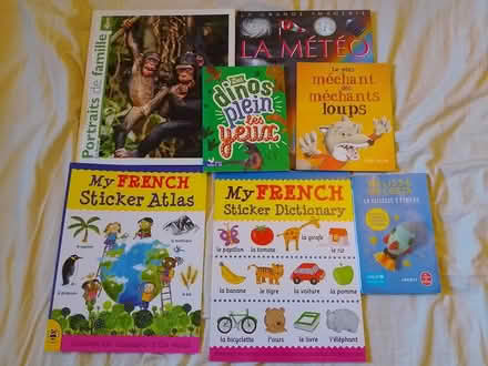 Photo of free Kids' books in French (Donnington OX4) #1