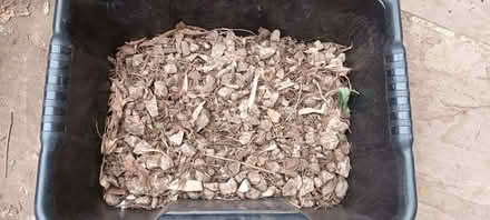 Photo of free Garden stones (Wetherby LS22) #2