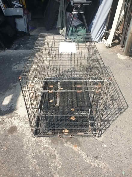 Photo of free Large Metal Dog Cage [Broken Tray] - (4) (Trowbridge BA14) #2