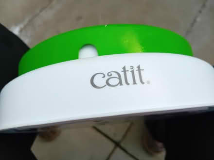 Photo of free CATIT fresh grass grower (Lumb BB4) #3