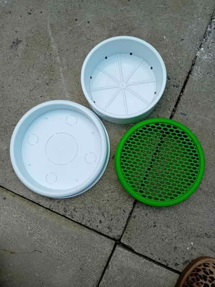 Photo of free CATIT fresh grass grower (Lumb BB4) #4