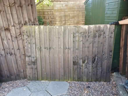 Photo of free Fence panels (Hemel hempstead) #1