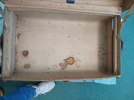 Photo of free Vintage Steamer Trunk (Wickford SS12) #3