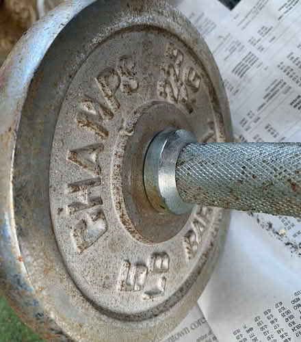 Photo of free Two 10 lb Champ hand weights (High park & Glenlake area) #1