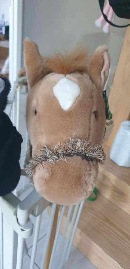 Photo of free Hobby horse (Ferring BN12 area.) #3