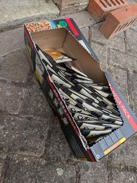 Photo of free Kitten Food (KT11 3DE) #1