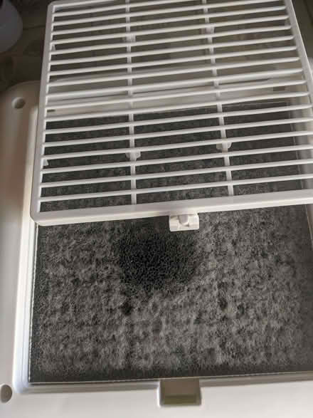 Photo of free Dimplex DXPUR80 Air Purifier (Knotty Ash L12) #1