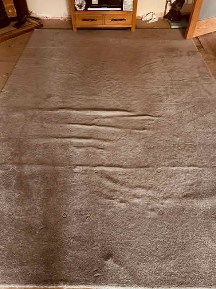 Photo of free Grey carpet (Garden City OX5) #3