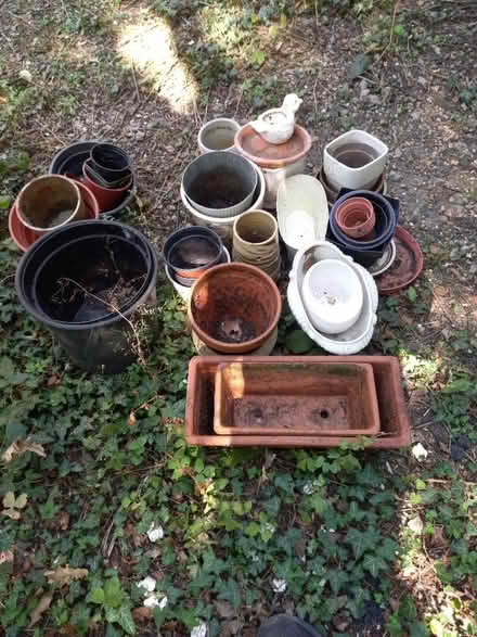 Photo of free Garden Plant Pots (CT2) #2