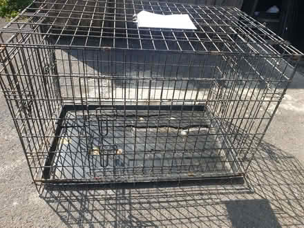 Photo of free Large Metal Dog Cage [Broken Tray] - (4) (Trowbridge BA14) #4