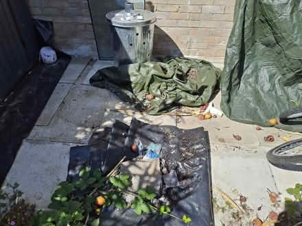 Photo of free Garden DIY clear out (Putnoe MK41) #1