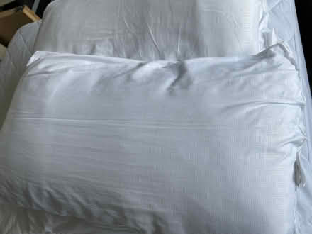 Photo of free Pillows (Beighton S20) #1