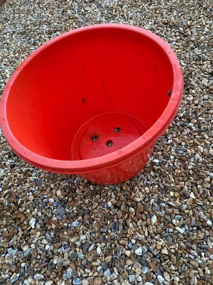 Photo of free large orange pot (Broadwater BN14) #2