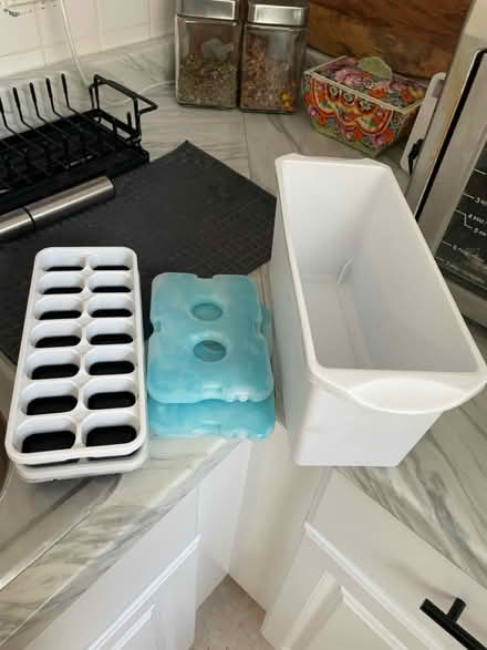 Photo of free Ice cube trays & bucket (Hallandale Beach Blvd and US1) #1
