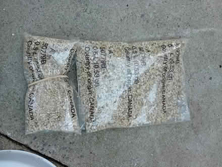 Photo of free CATIT fresh grass grower (Lumb BB4) #2