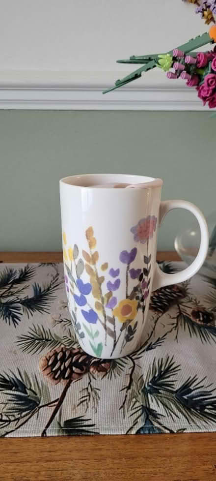 Photo of free Large mug with lid (Albany park) #1