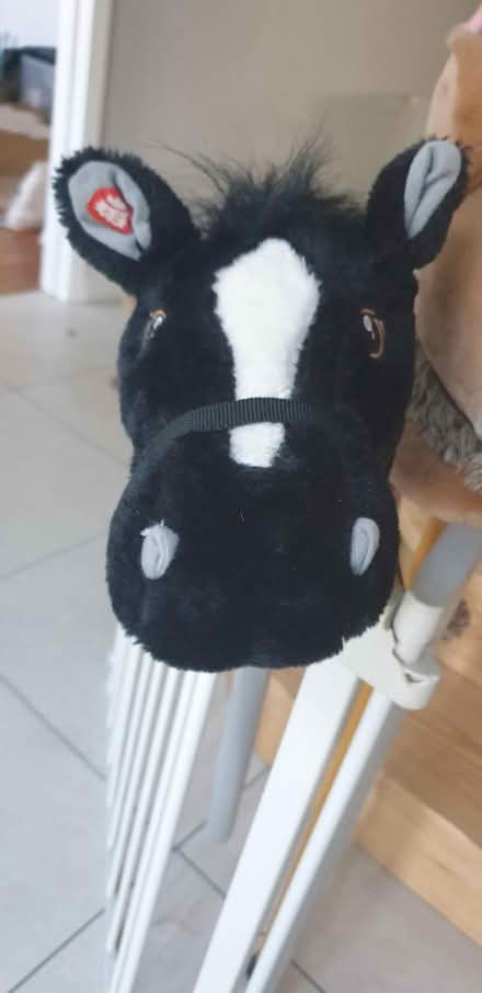 Photo of free Hobby horse (Ferring BN12 area.) #2