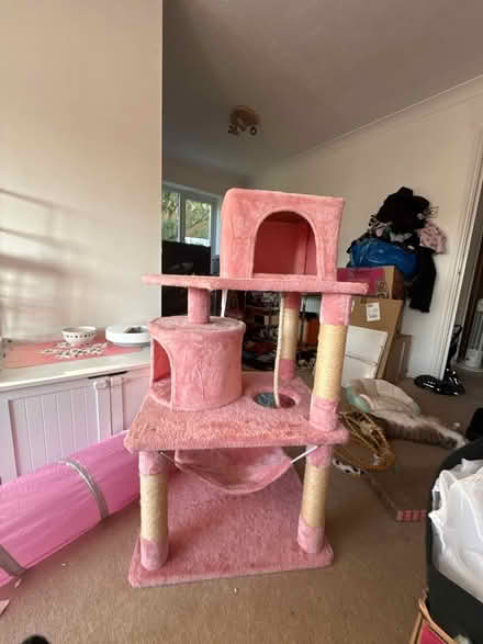 Photo of free Pink cat tree climbing frame (Sg13 7en) #1