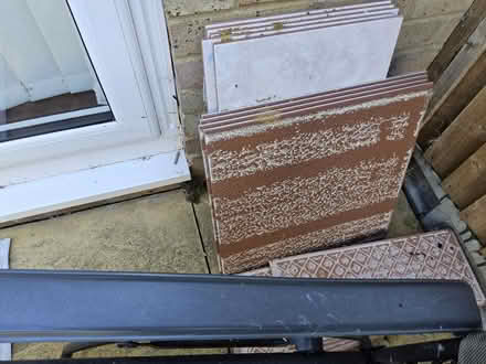 Photo of free Garden DIY clear out (Putnoe MK41) #3