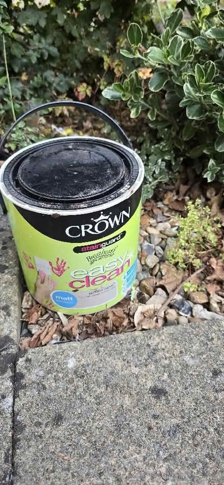Photo of free Paint (Oxford OX4) #2