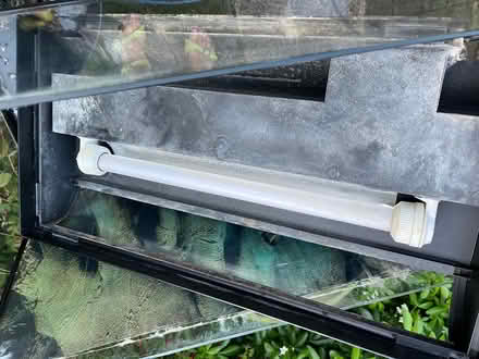 Photo of free Glass fish tank (Cambridge CB1 (Romsey)) #2