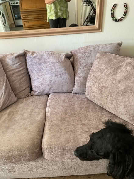 Photo of free 3 seater sofa (Sturdee Road LE2) #2