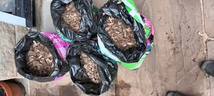 Photo of free Garden stones (Wetherby LS22) #3