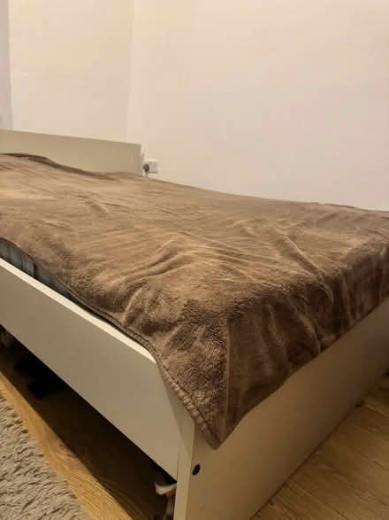 Photo of free Double bed (South Croydon CR0) #2