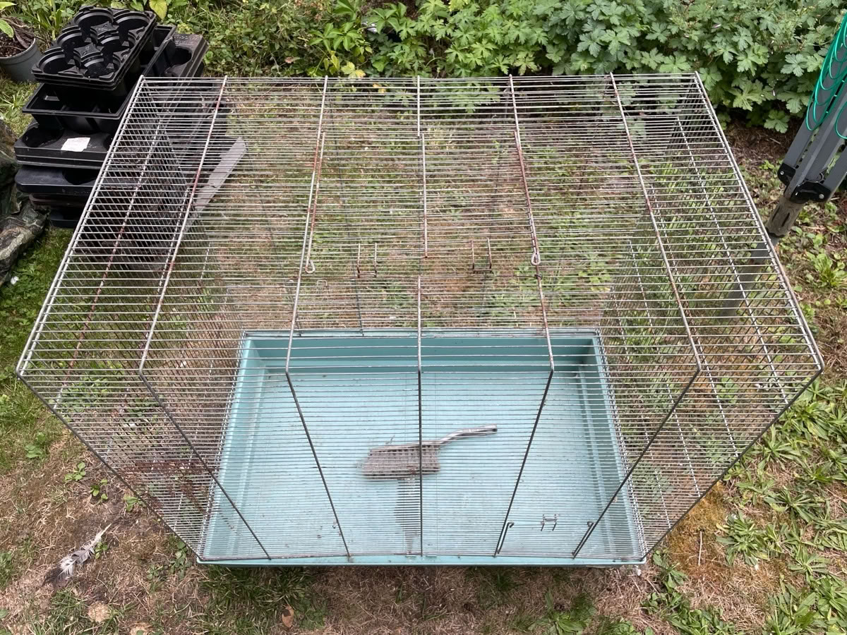 Photo inspiration: Gallery Detail: Free Rodent Bird Cage West Dean