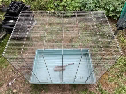 Photo of free Rodent/ bird cage (West Dean) #1