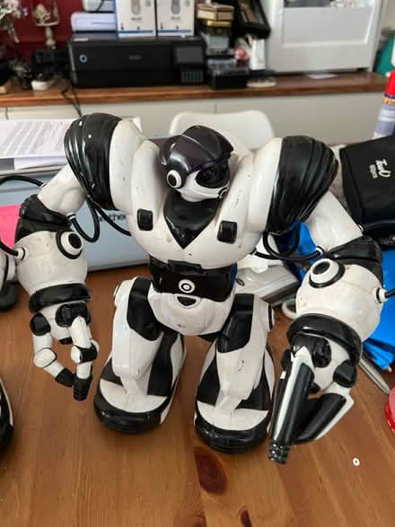 Photo of free 2 x Robosapiens (Whitton TW3) #2