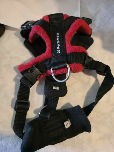 Photo of free Dog harness XS & Small underneath (BN10) #2