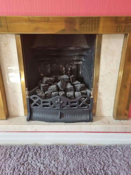 Photo of free Gas fire including basket and coals (Walton Hall Gardens WA4) #2