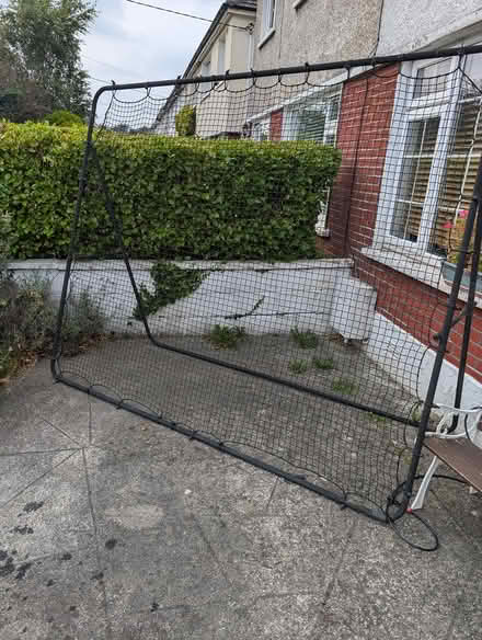 Photo of free Rebounder large (Beaumont) #1