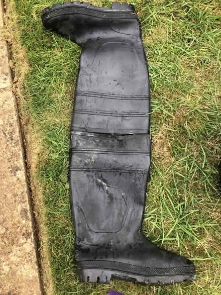 Photo of free Pair of black size 8 wellies (Abingdon OX14) #3