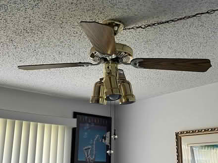 Photo of free Ceiling Fan 42" (Largo off Ulmerton) #1