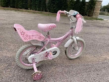 Photo of free Childs princess bike 14” (GL3, Brockworth) #3