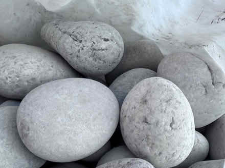 Photo of free Bag of decorative garden stones (KT3 New Malden) #2