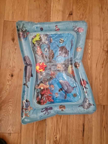 Photo of free 2 tummy time fish mats (Didcot OX11) #1