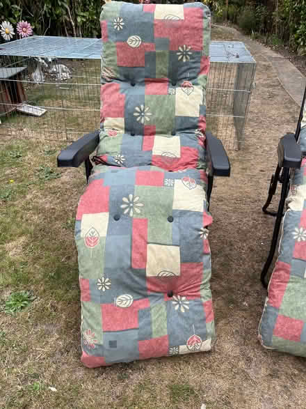 Photo of free Garden chairs (Enfield EN1) #3