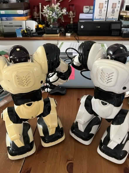 Photo of free 2 x Robosapiens (Whitton TW3) #4