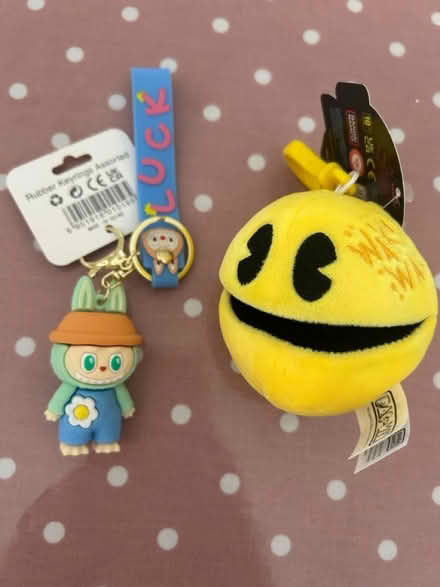 Photo of free New key rings (Dunstable) #1