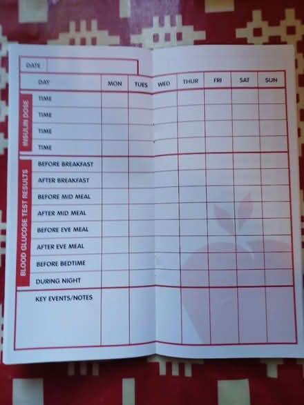Photo of free 13 quarterly diaries for diabetics (Burslem ST6) #1