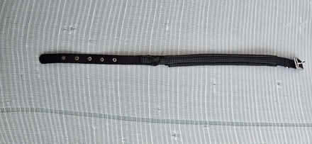 Photo of free dog collar (Seaford BN25) #3