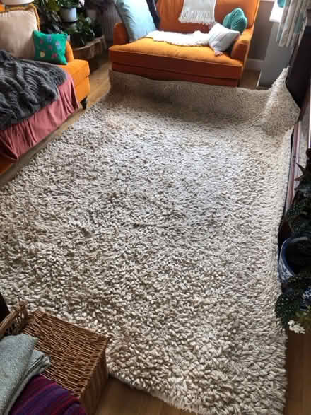 Photo of free Huge textured rug (Walkley, S6) #1
